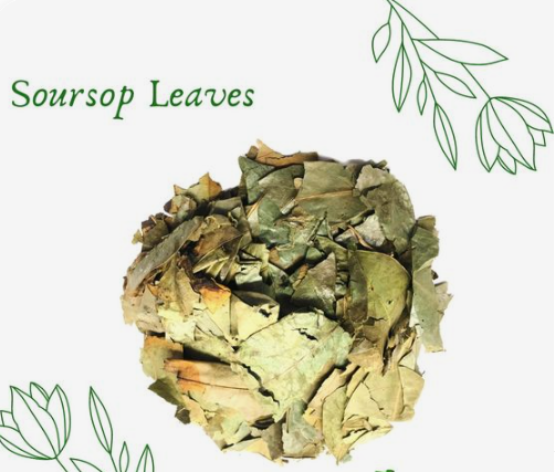 Jamaican organic Soursop leaf