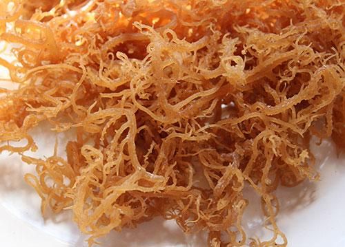 Jamaican organic Irish moss